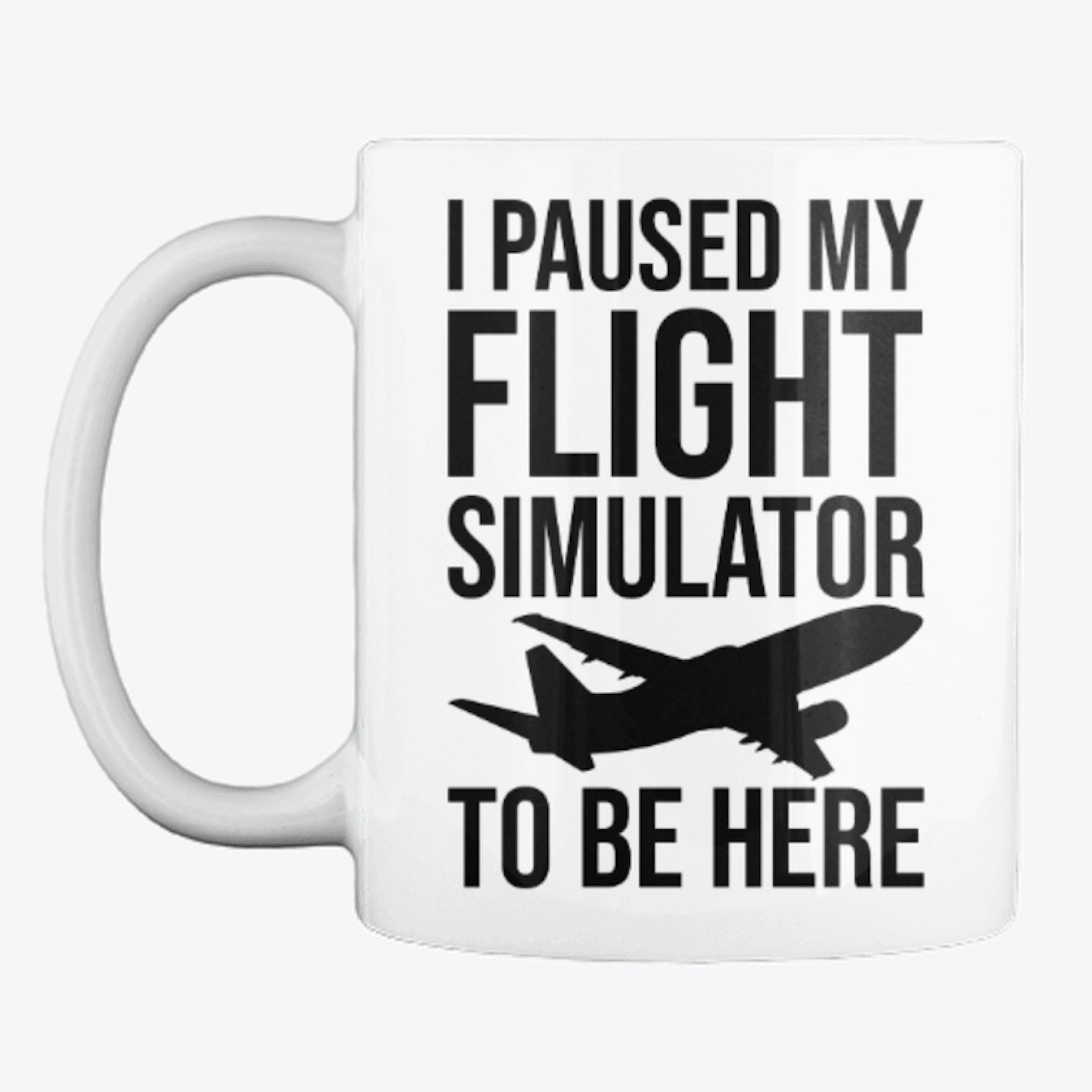 I paused my flight simulator to be here