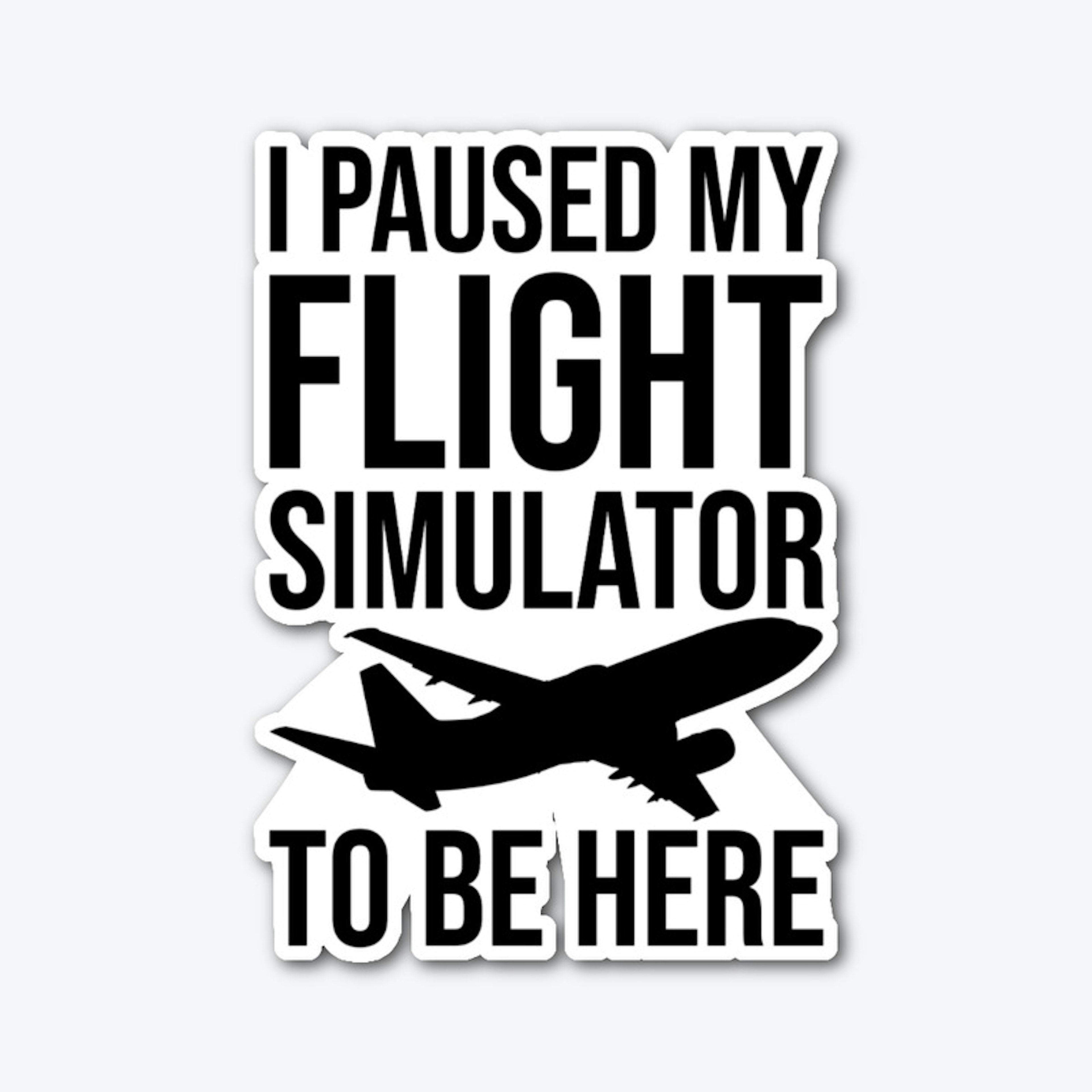 I paused my flight simulator to be here